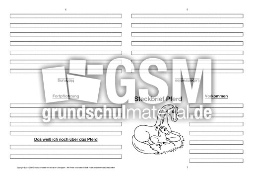 Pferd-Faltbuch-vierseitig-3.pdf